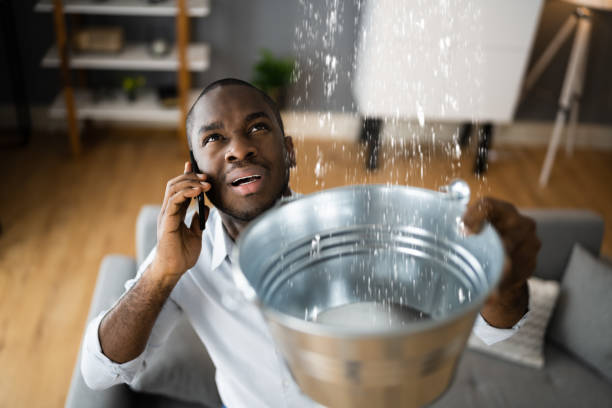 Best Mold removal after water damage  in St Augustine, FL