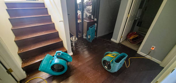  St Augustine, FL Water damage restoration Pros