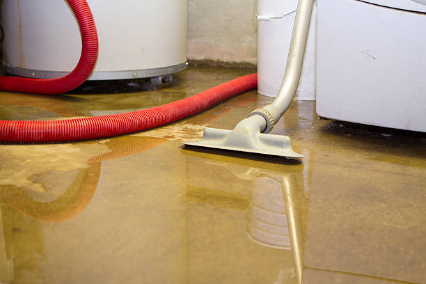 Best Water damage cleanup near me  in St Augustine, FL